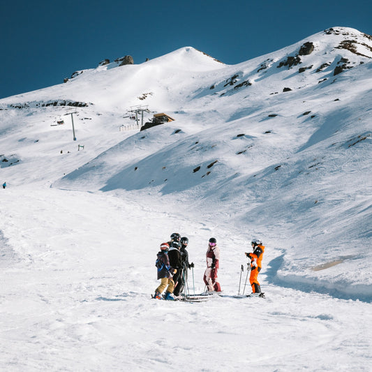 NZ: PSIE/PSIC Licensed Professional Trainer Pathway (LPT)